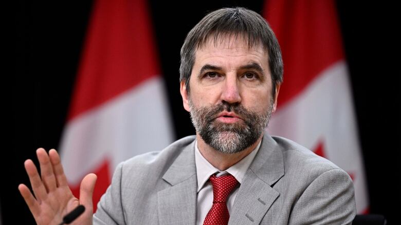 A man in a grey suit and red tie speaks at a microphone. Two Canadian flags are drapped in the background.