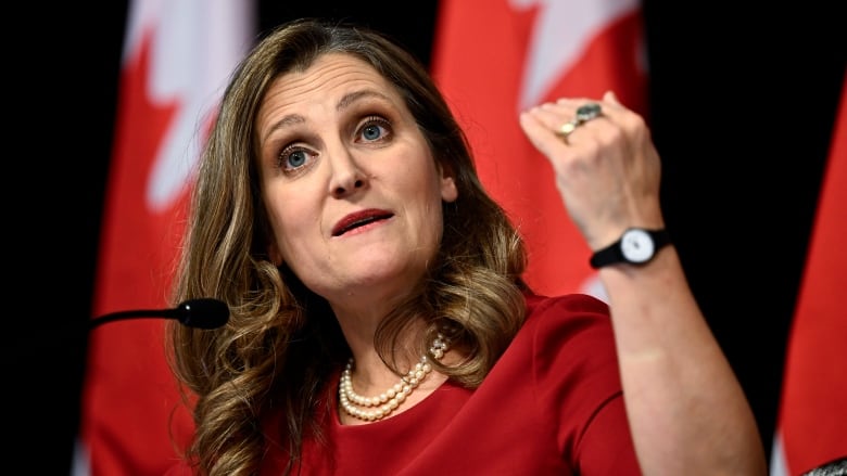 A woman in a red dress gestures as she speaks with reporters (not seen). Canadians flags are hung in the background.