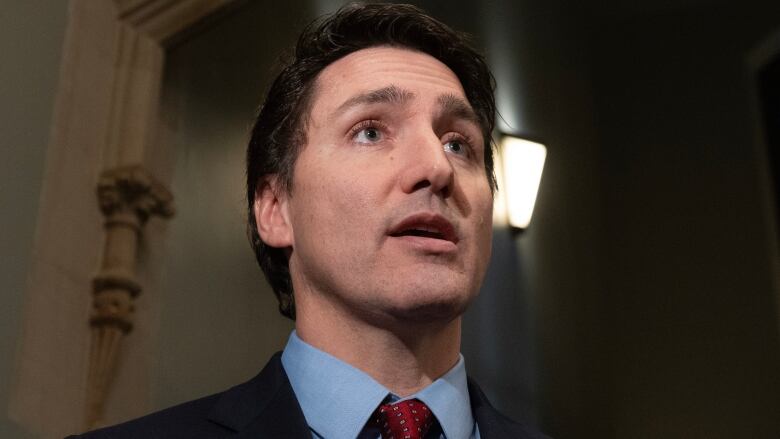 Prime Minister Justin Trudeau speaks to reporters before caucus, Wednesday, November 22, 2023 in Ottawa.