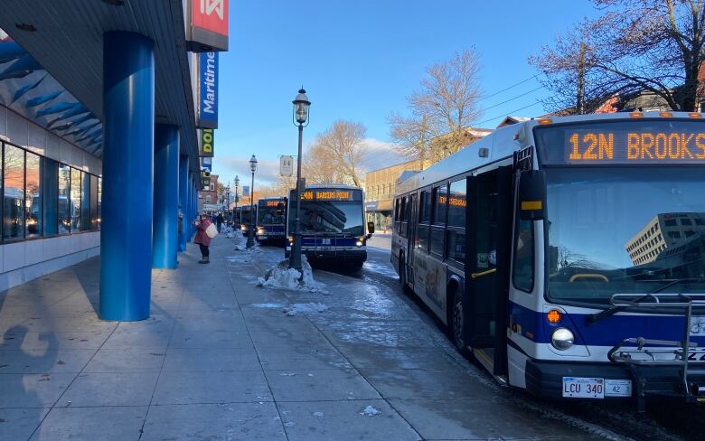 Buses line up along King Street in Fredericton.