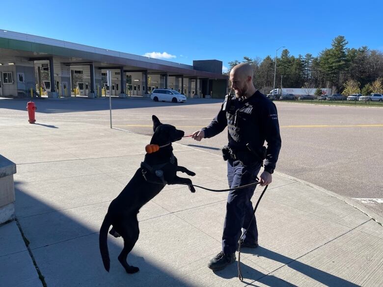 A uniformed man and a dog play outside.