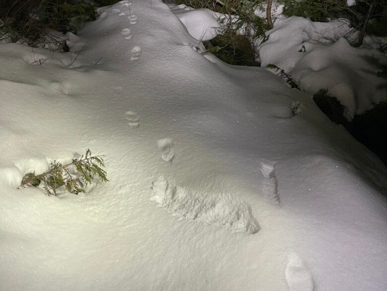 Footprints in heavy snow.