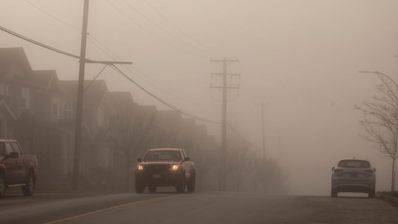 Cars on a road filled with single-family homes in heavy fog.