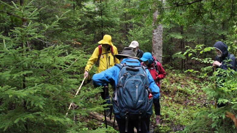 Five individuals stop in a wooded area to look at plants on the ground. 