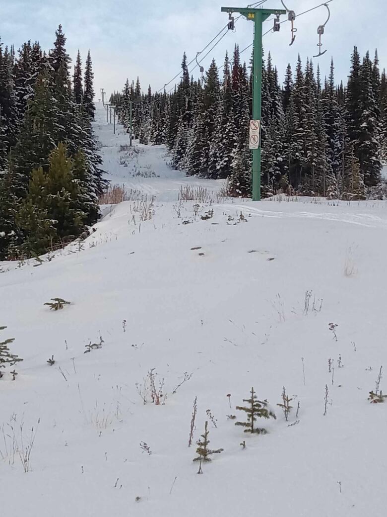 A downhill ski run is shown, passing well beneath the level of a T-Bar ski lift.