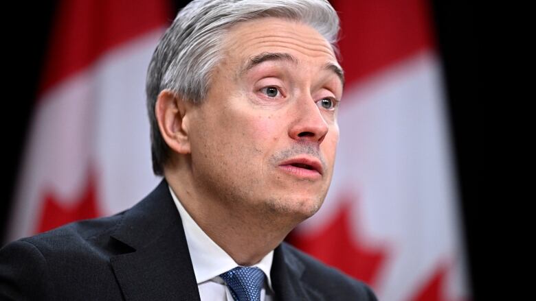 Minister of Innovation, Science and Industry Francois-Philippe Champagne speaks during a news conference on the next phase of the governments economic plan at the National Press Theatre in Ottawa, on Tuesday, Nov. 28, 2023.