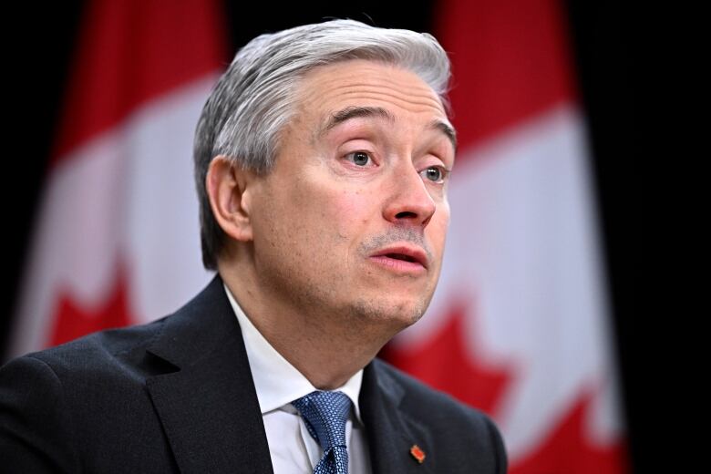 Minister of Innovation, Science and Industry Francois-Philippe Champagne speaks during a news conference on the next phase of the governments economic plan at the National Press Theatre in Ottawa, on Tuesday, Nov. 28, 2023.