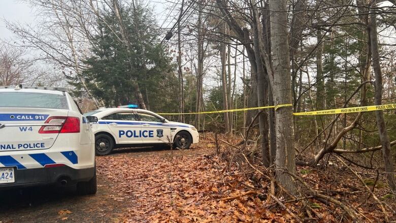 two police cars parked by the woods.