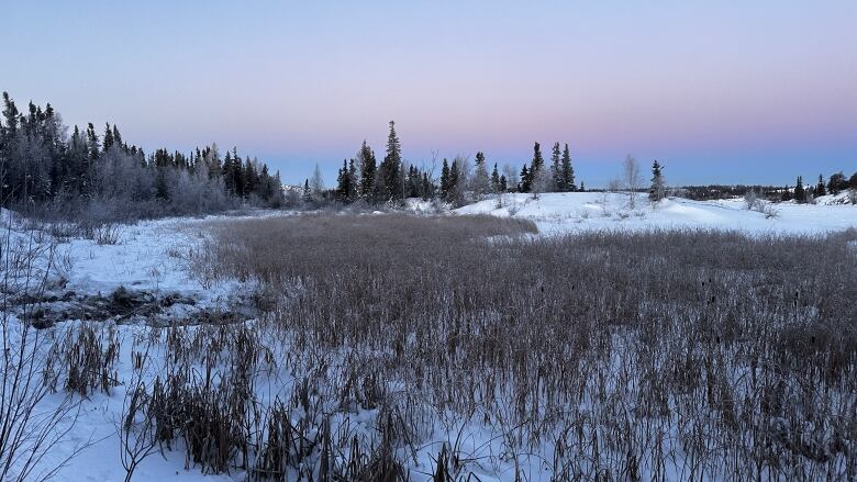 The edge of a lake covered in snow at sunrise. The sky is blue and purple.