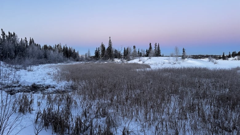  The edge of a lake covered in snow at sunrise. The sky is blue and purple.