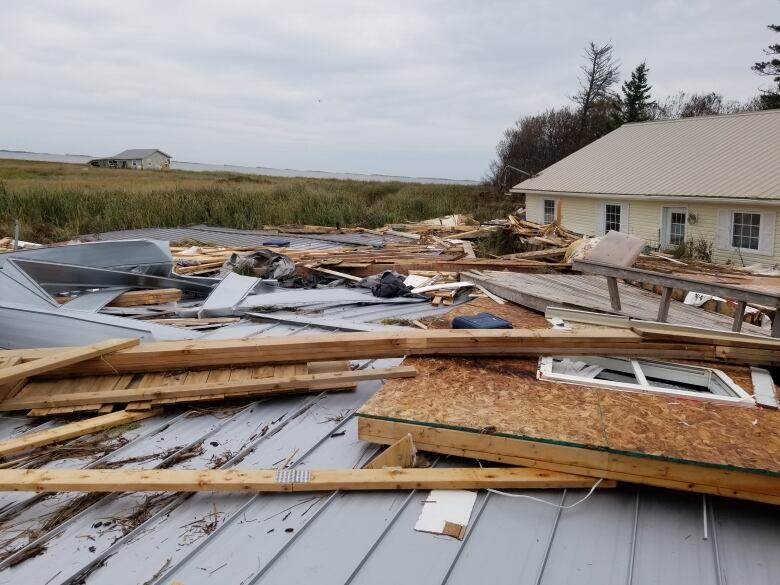 Debris and bits of buildings piled in a marsh along the roadway 