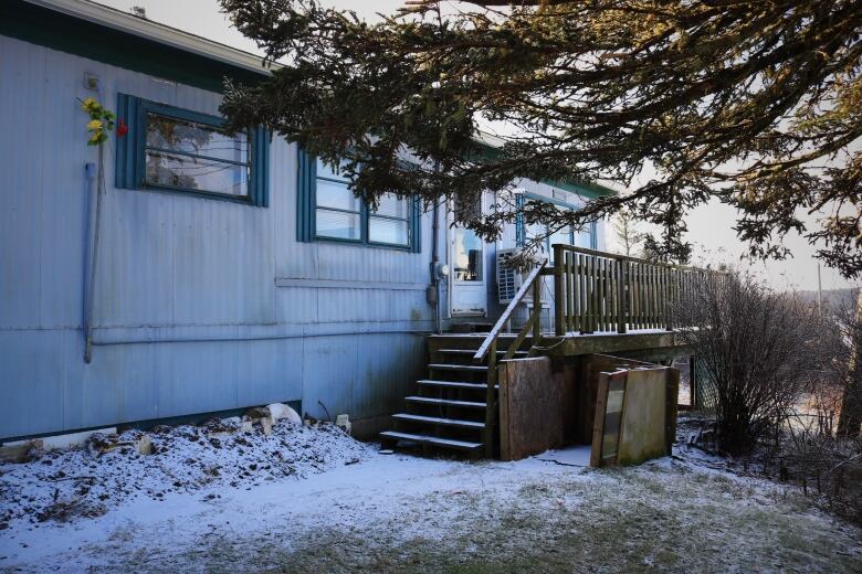 A ageing mobile home surrounded by a large spruce tree. 