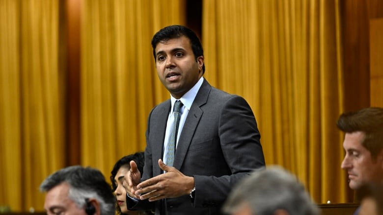 A man in a grey suit speaks in the House of Commons.