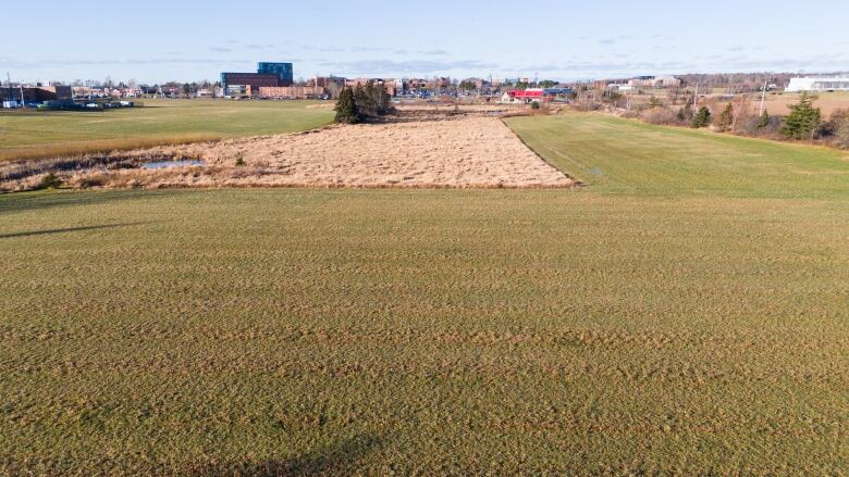 A drone shot of a wide green field in central Charlottetown.