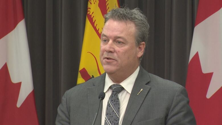 Mike Holland speaks at a news conference in Fredericton.