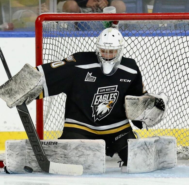 A goalie in a Cape Breton Eagles uniform guards the net during a game.