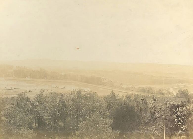 A panoramic view with trees in the foreground. Behind it is a slope filled with temporary houses. 