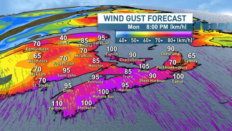 Graphic of potential wind gusts.