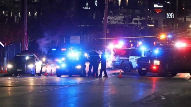 Police officers stand on a dark street among police vehicles with flashing lights.