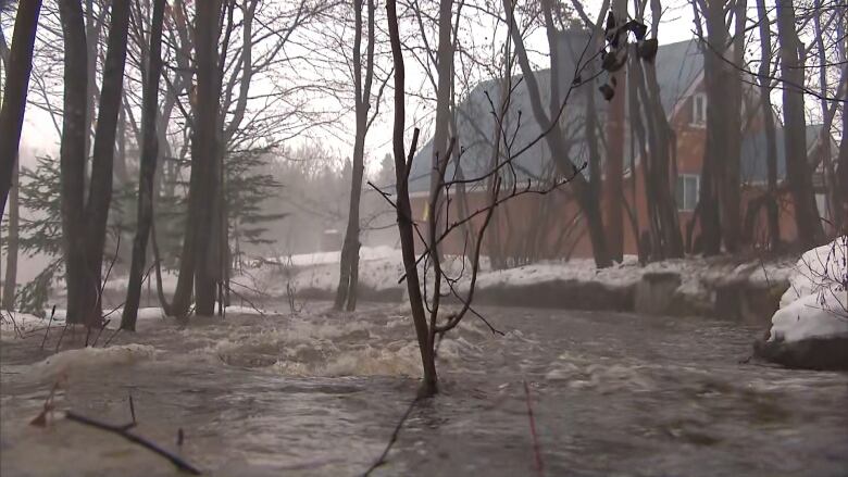 A river flows around trees and near snowy banks with a house in the background.