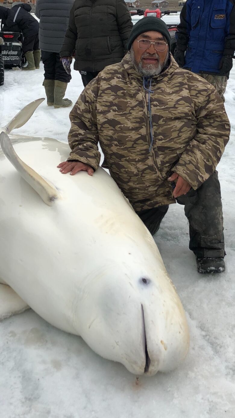 David Kuptana crouching beside a beluga which appears to be dead. 