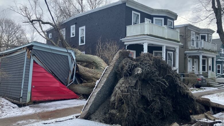 A fallen tree is shown on top of a garage, next to a house.