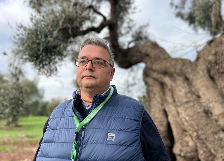 A man stands by an olive tree.