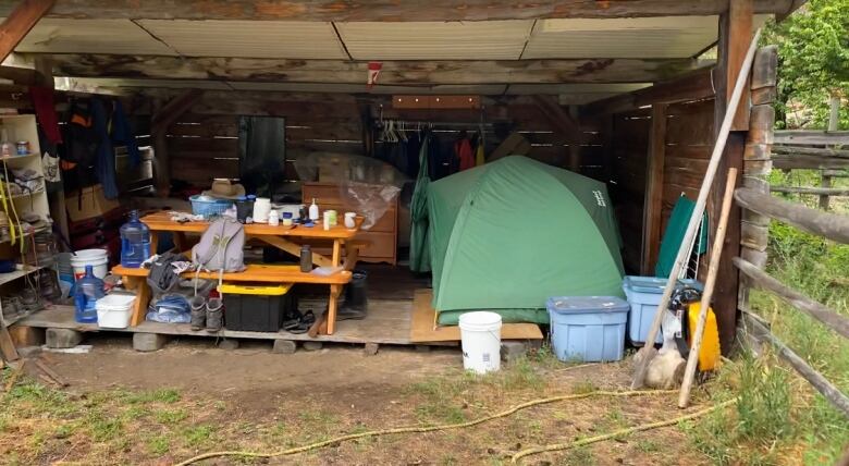 A photo of a tent set up inside a open sided shed on a rural property with a wooden picnic table beside it and an assortment of basic essentials stacked on the table and beside the tent.