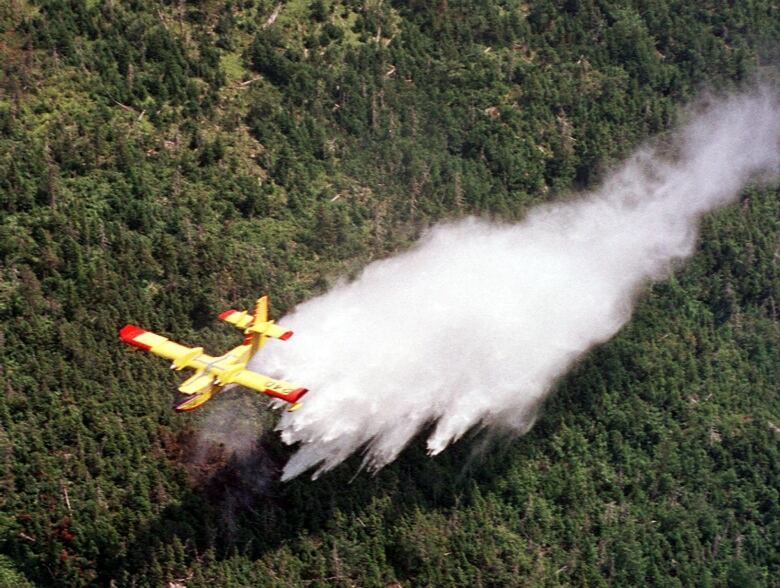 A plane drops fire retardant over a forest.