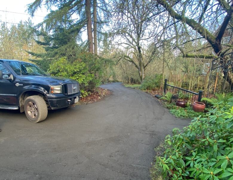 A long driveway unevenly paved.