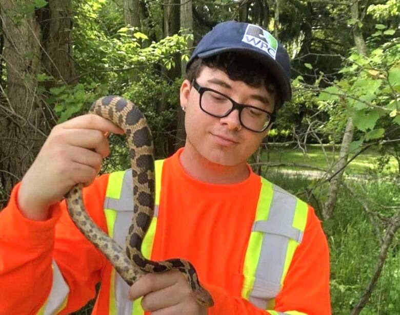 A man in a high-visibility shirt handles a snake in a wooded area.