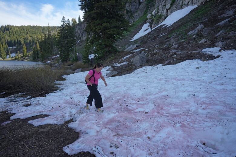 A female hiker in a pink shirt and black pants walks across pink-hued snow.