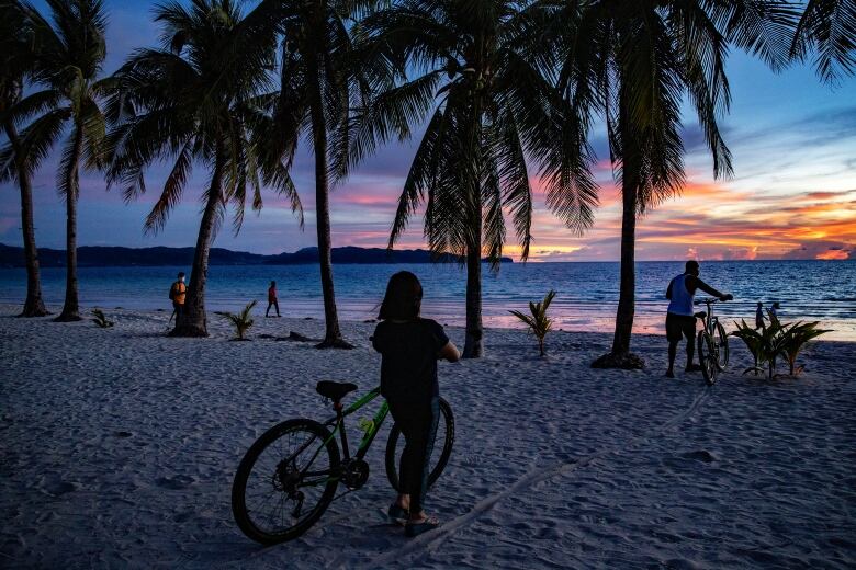 People gather on a palm-lined beach at sunset