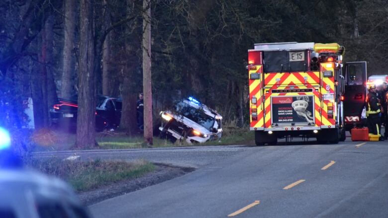 A black car and police vehicle appear crashed into some trees, both with visible damage.