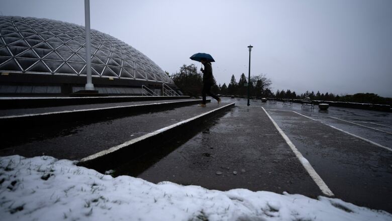 A person with umbrella walks up steps toward a domed structure on picture left.