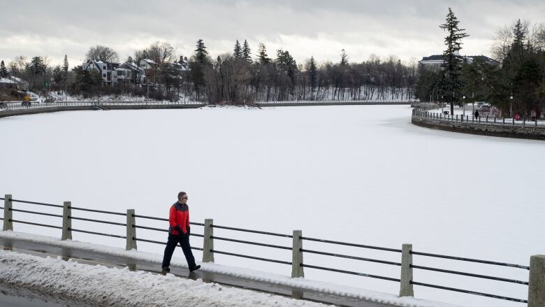 A person in a red coat walks on a path beside a snowed-over canal.