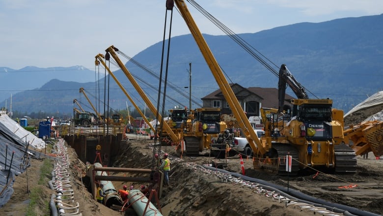 Cranes lay pipe in a trench.