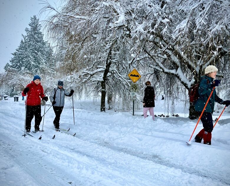 Skiers go through a snowy road with trees around them.