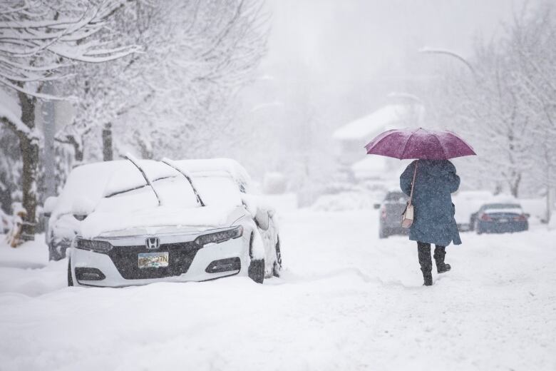 A woman wears a blue coat and carries a pink purse and an umbrella while walking away from the camera on a snowy street. The umbrella is covered in snow.