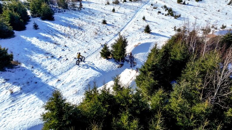 A man in a yellow jacket on a bike in the midst of some pine trees seen from the drone  