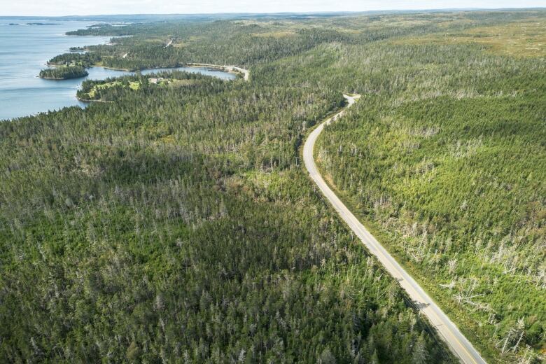 An aerial photo shows a remote part of seaside Nova Scotia, which shows a roadway surrounded on both sides by thick trees.