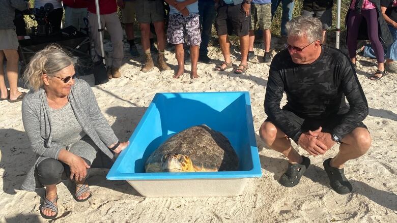 Two people stand with a turtle in a bucket