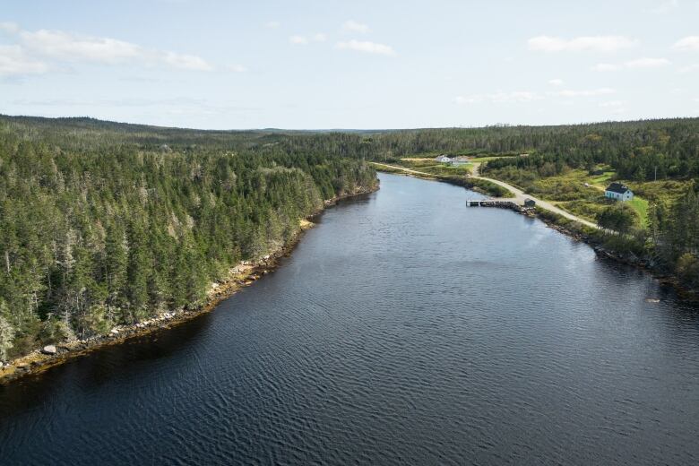 An aerial photo shows a seaside community with only a handful of homes and surrounded by dense forests.