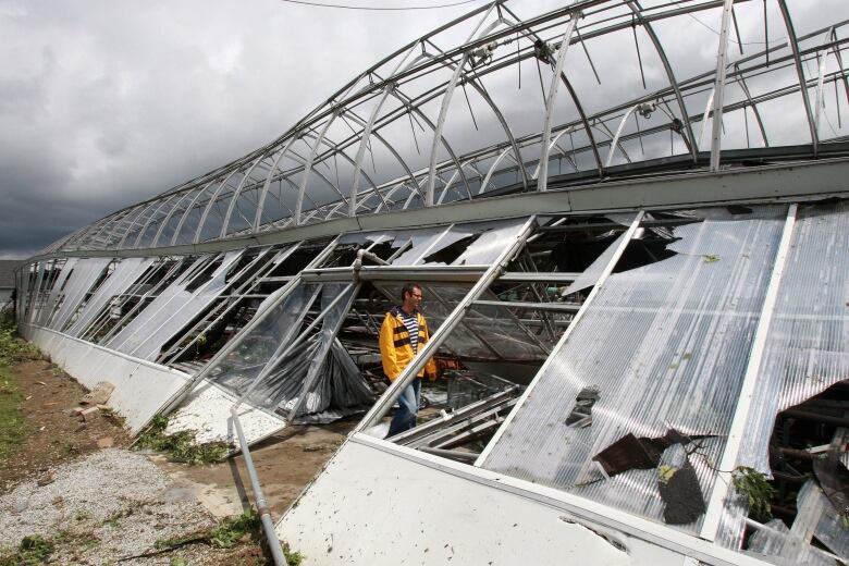 A man inside a toppled greenhouse with broken glass.