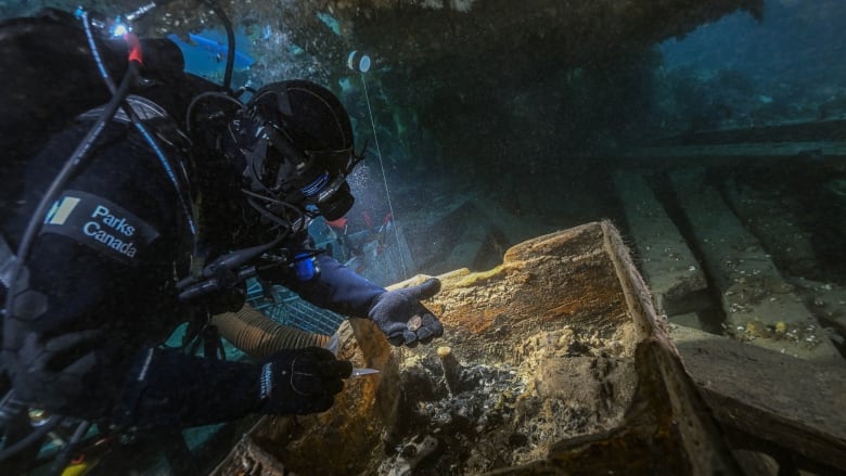 A diver examines an old box underwater.