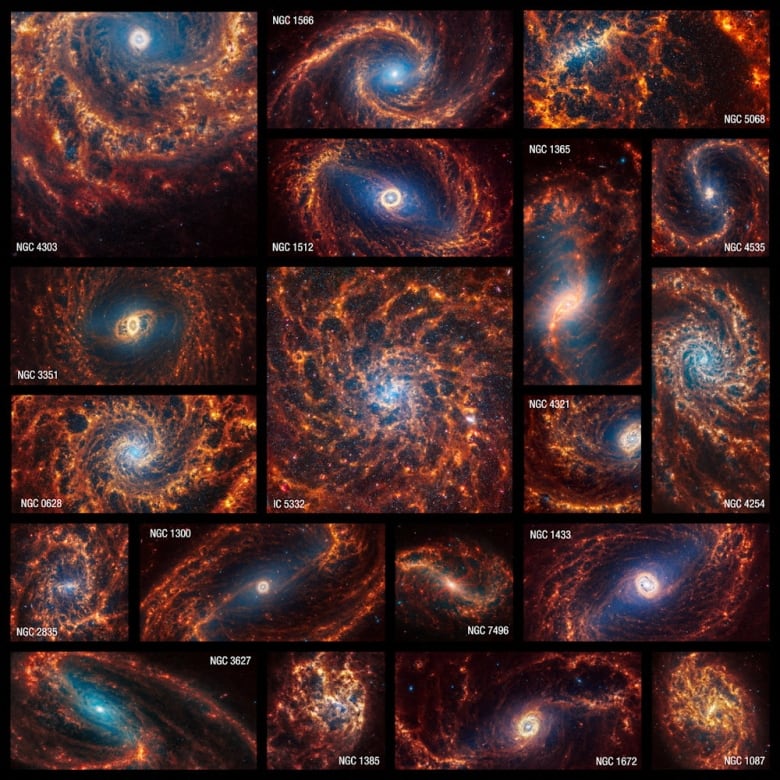 A collection of 19 spiral galaxies.