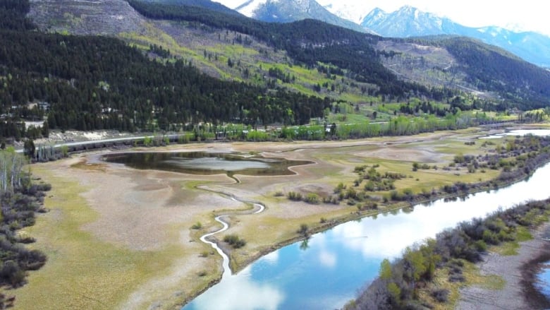 Pictured is a section of the Columbia Wetlands in low water. 