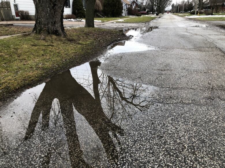 A road with rainwater pooled on one side