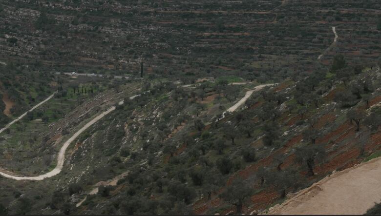 A view of the area where Tawfic Abdel Jabbar was killed.   Police say someone was throwing rocks at cars on Highway 60.   His aunt says he was killed on the winding dirt road several hundred metres away.