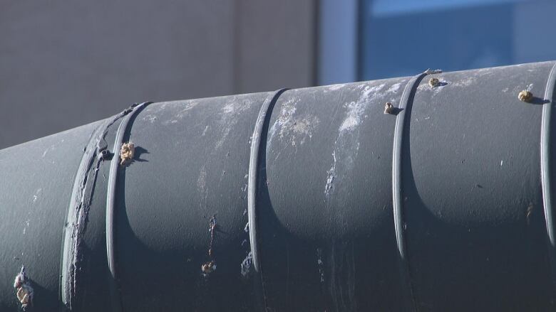 Bird waste on what looks to be some sort of pipe. 